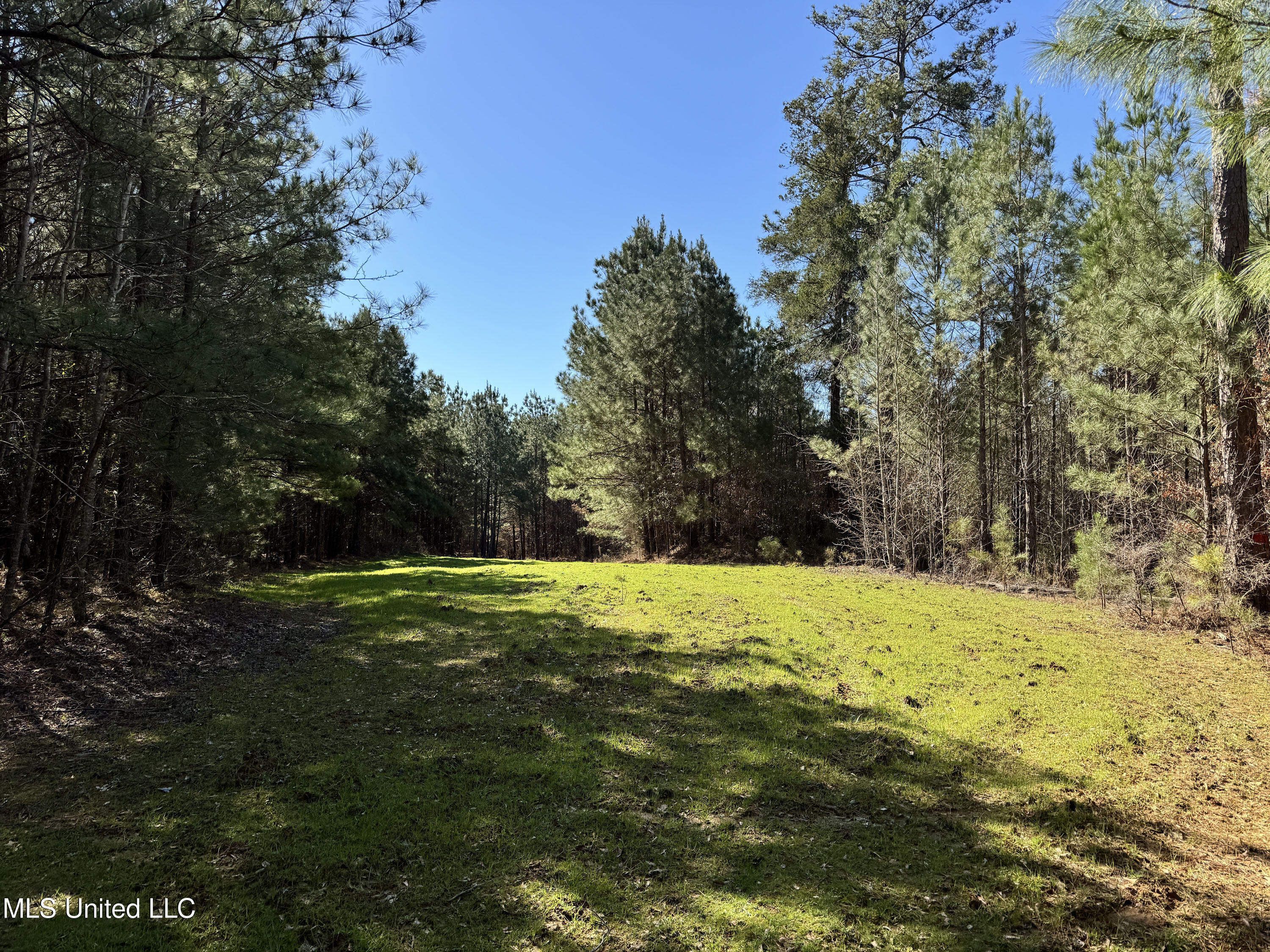 Hickory Ridge Road Hermanville, MS 39086 - Photo 3 of 43 Franklin Post Property-2