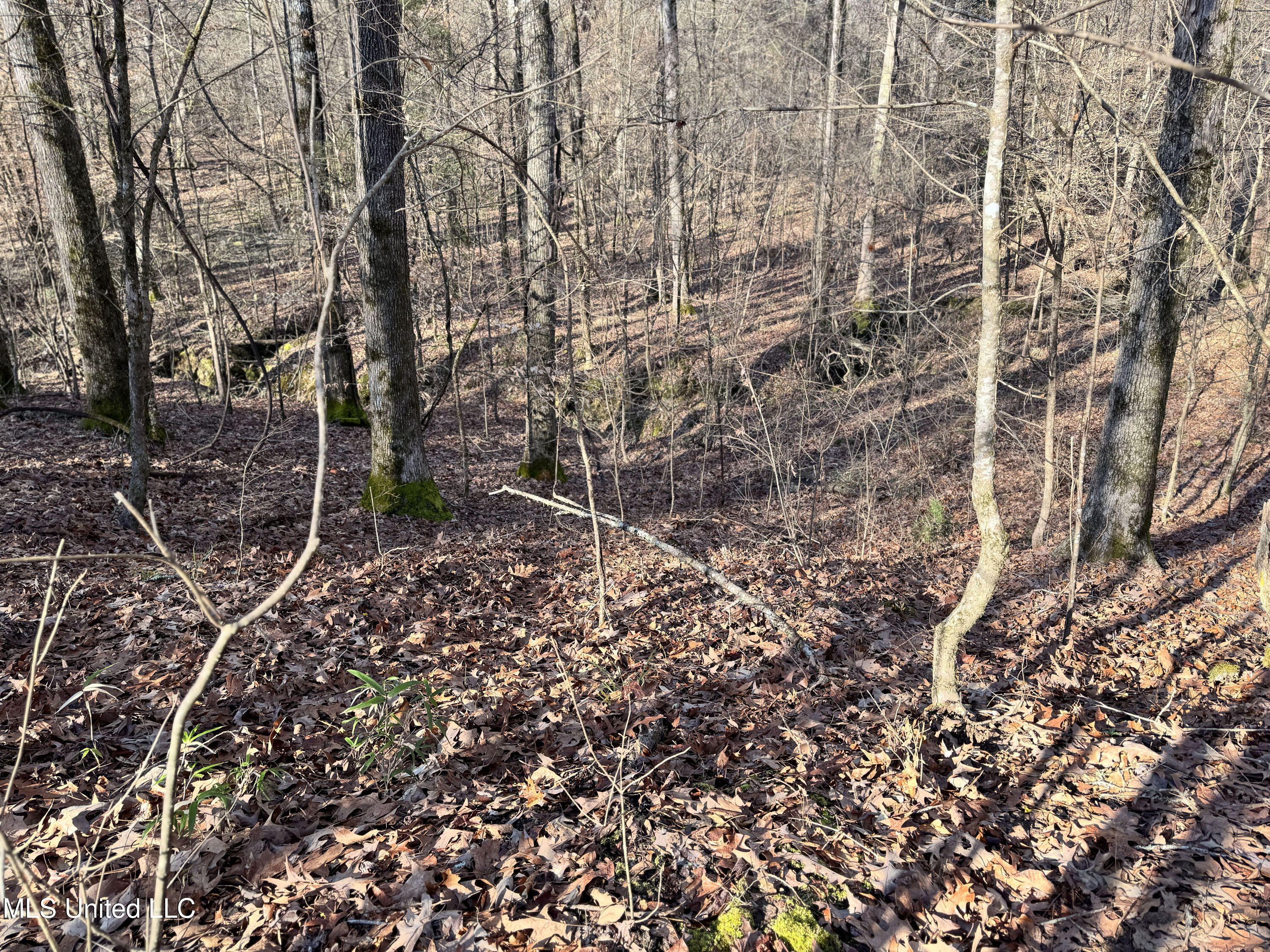 Hickory Ridge Road Hermanville, MS 39086 - Photo 31 of 43 Franklin Post Property-50