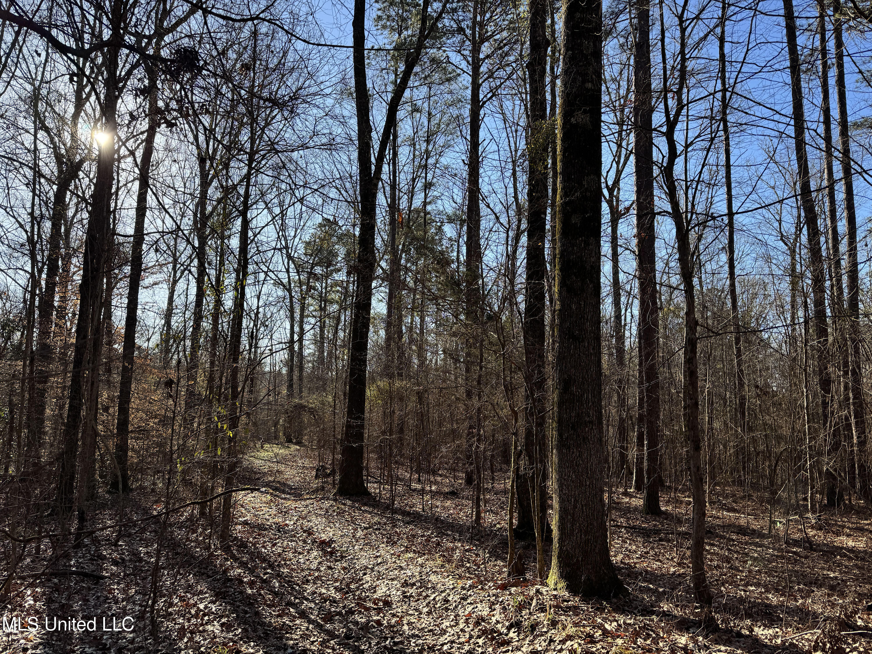 Hickory Ridge Road Hermanville, MS 39086 - Photo 33 of 43 Franklin Post Property-56