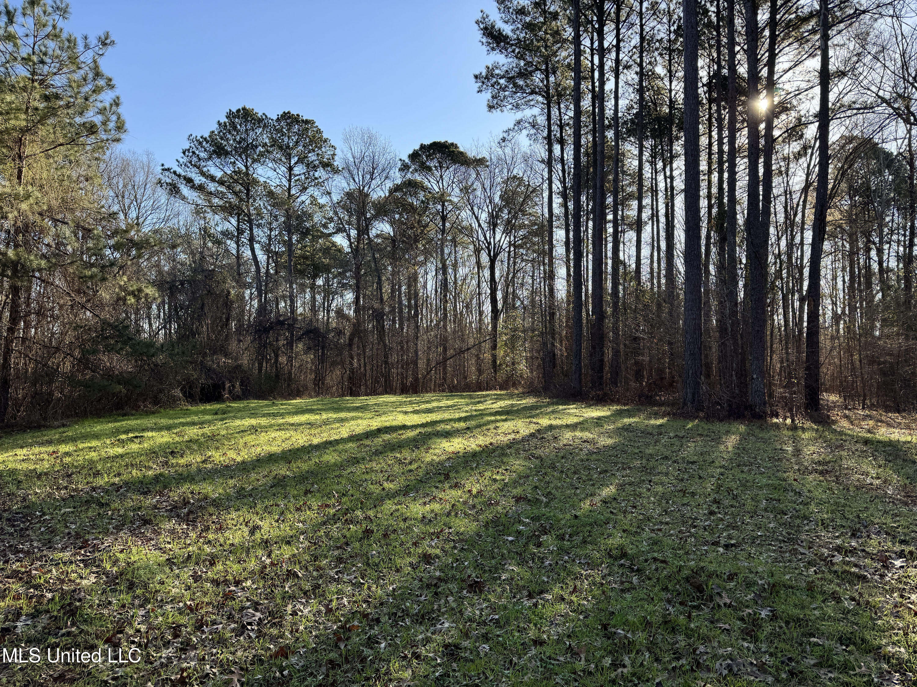 Hickory Ridge Road Hermanville, MS 39086 - Photo 34 of 43 Franklin Post Property-58