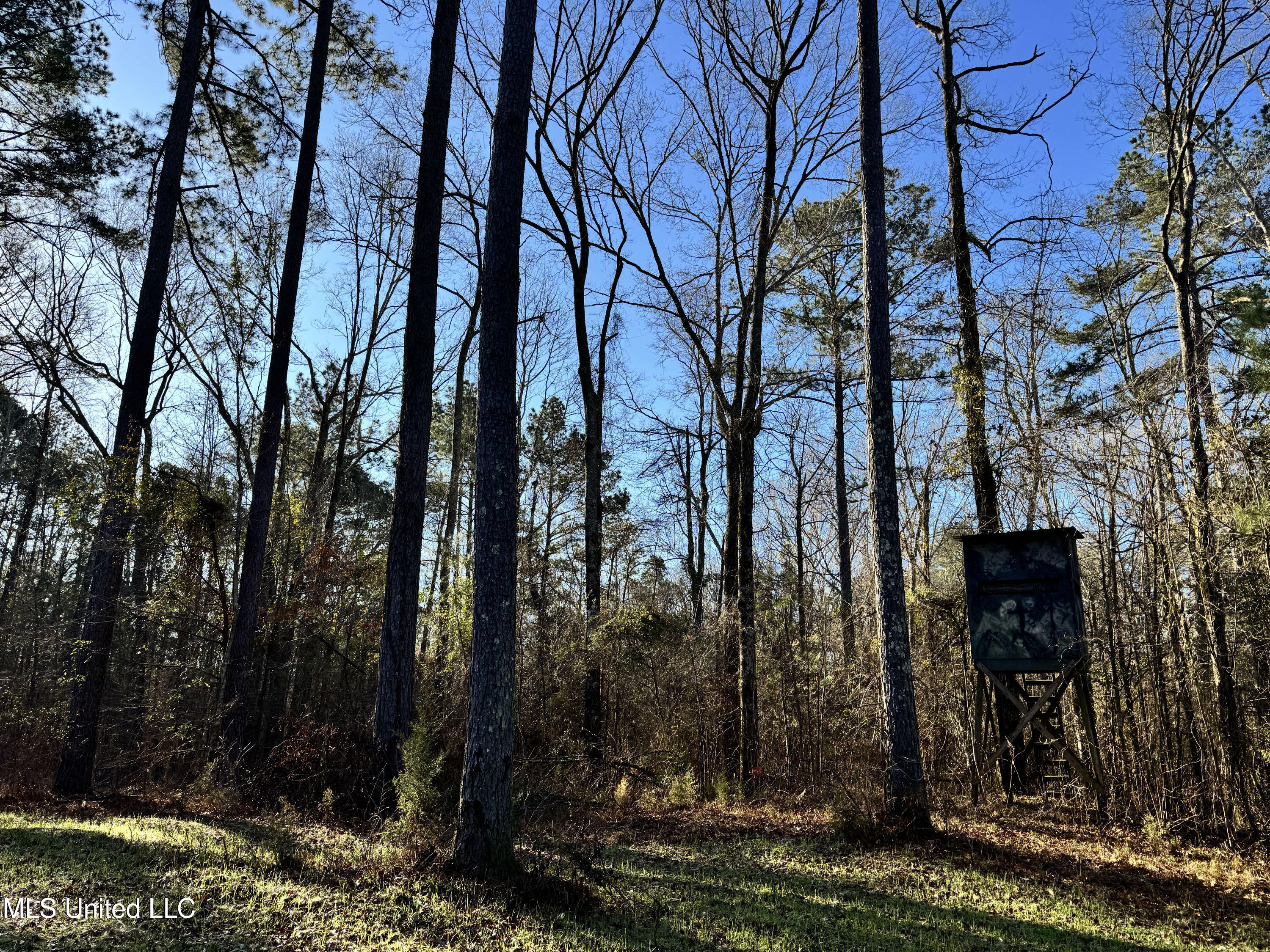 Hickory Ridge Road Hermanville, MS 39086 - Photo 35 of 43 Franklin Post Property-59