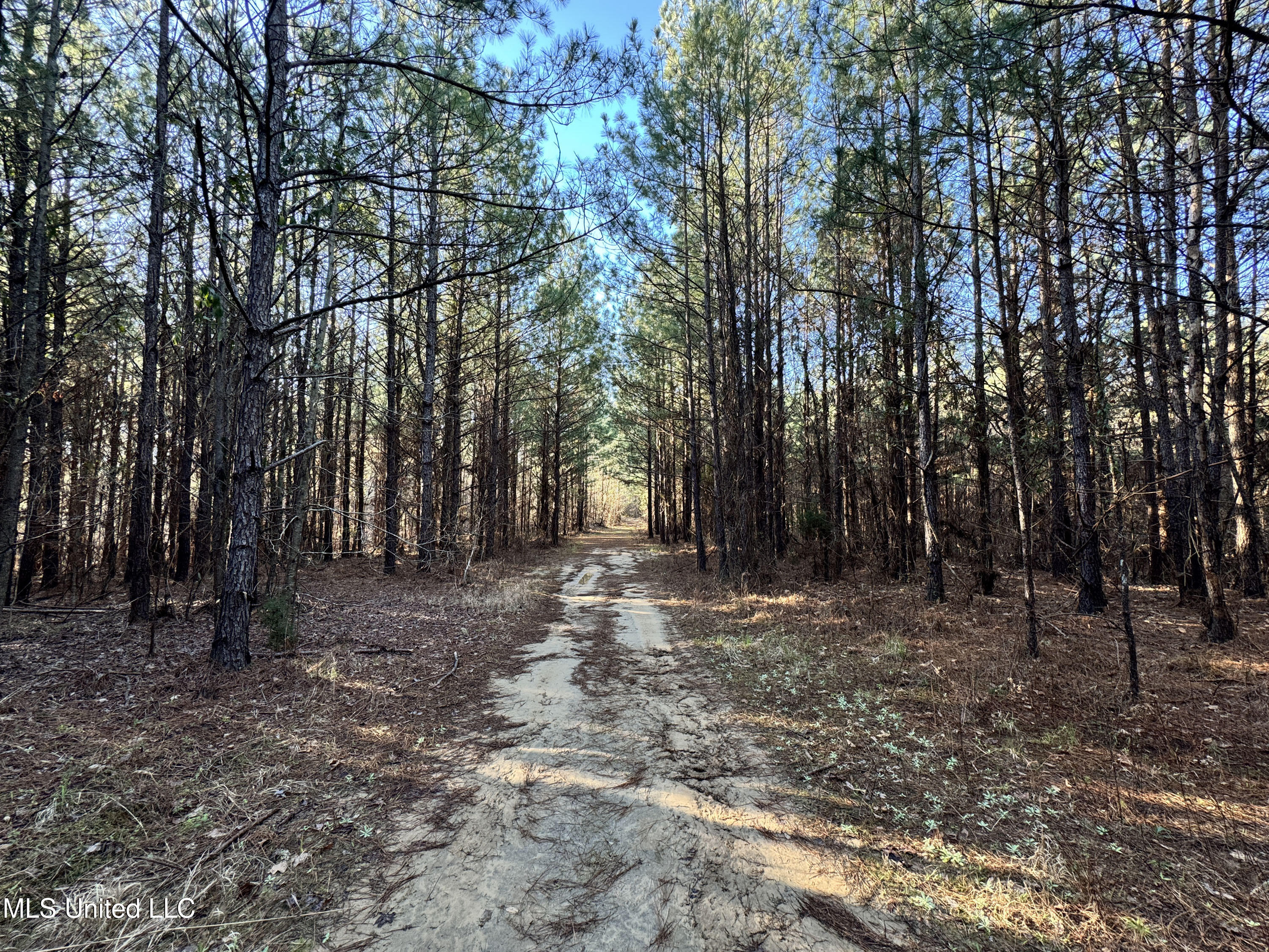 Hickory Ridge Road Hermanville, MS 39086 - Photo 37 of 43 Franklin Post Property-61