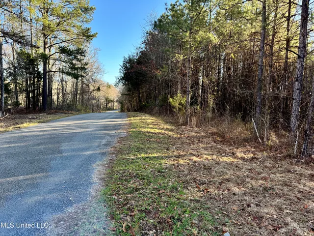 $1,920,000 | Hickory Ridge Road, Hermanville, MS 39086
