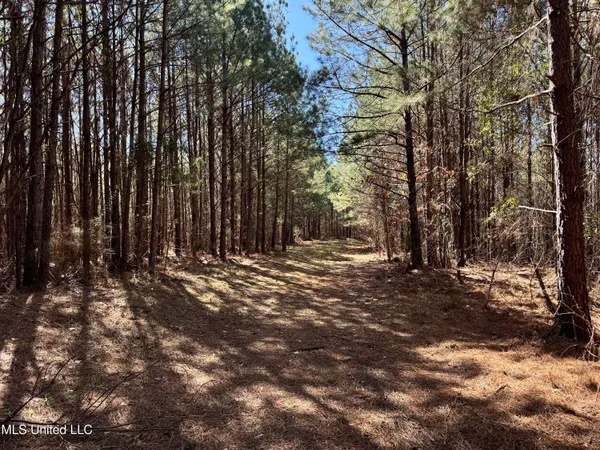 $1,920,000 | Hickory Ridge Road, Hermanville, MS 39086