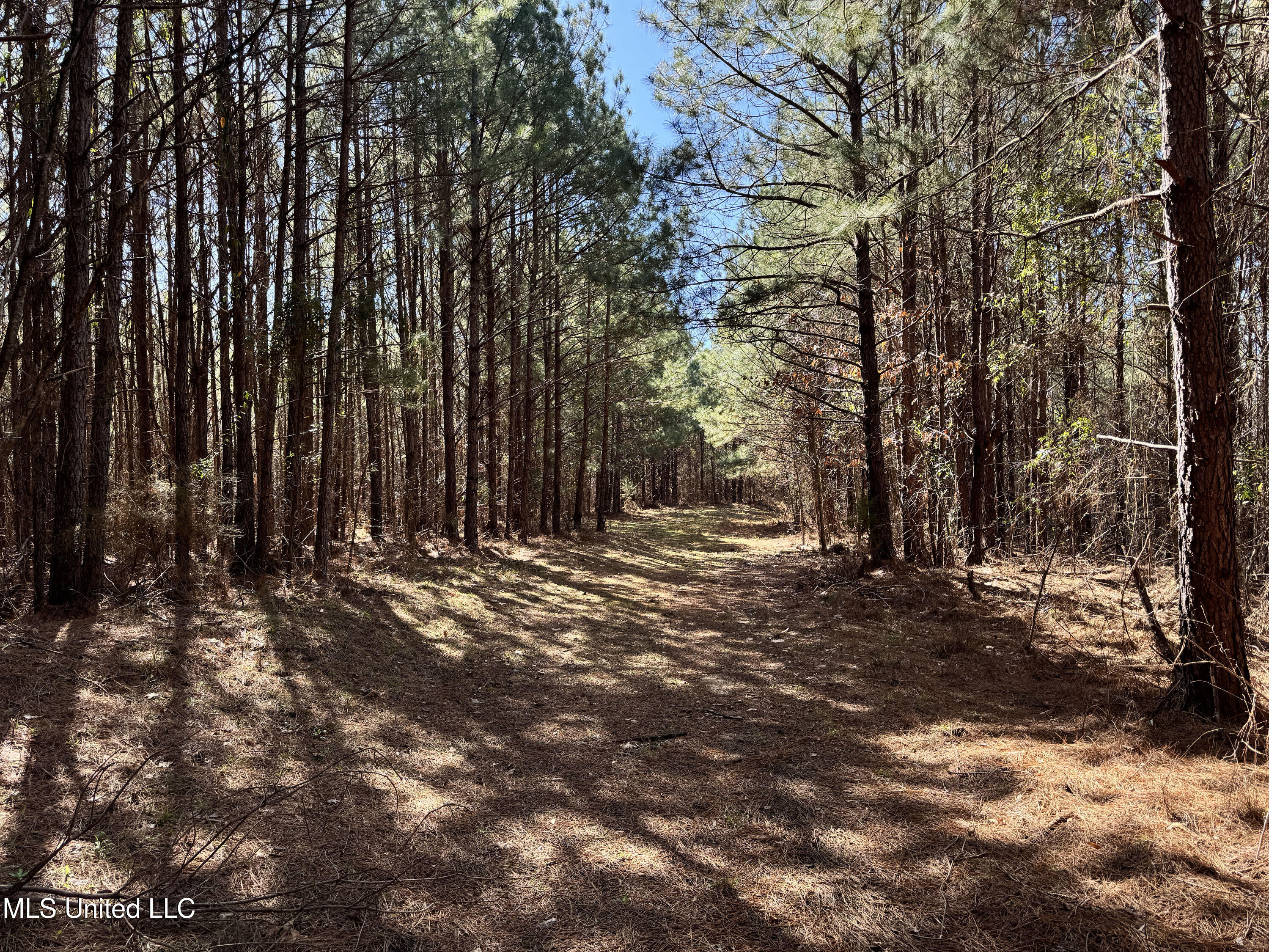 Hickory Ridge Road Hermanville, MS 39086 - Photo 4 of 43 Franklin Post Property-3