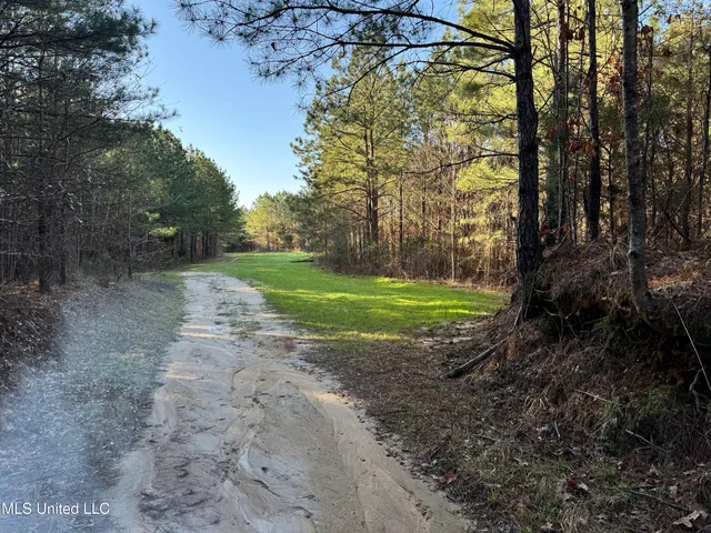 $1,920,000 | Hickory Ridge Road, Hermanville, MS 39086