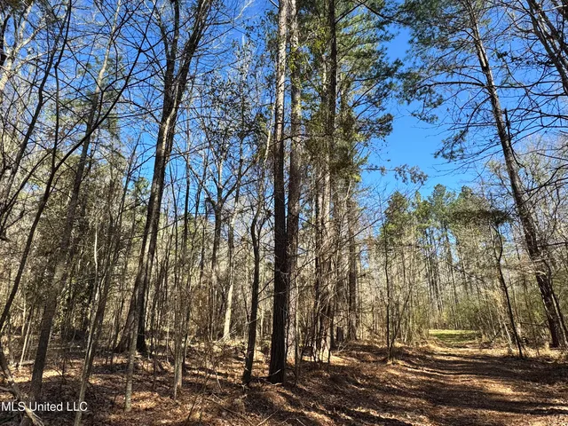 $1,920,000 | Hickory Ridge Road, Hermanville, MS 39086