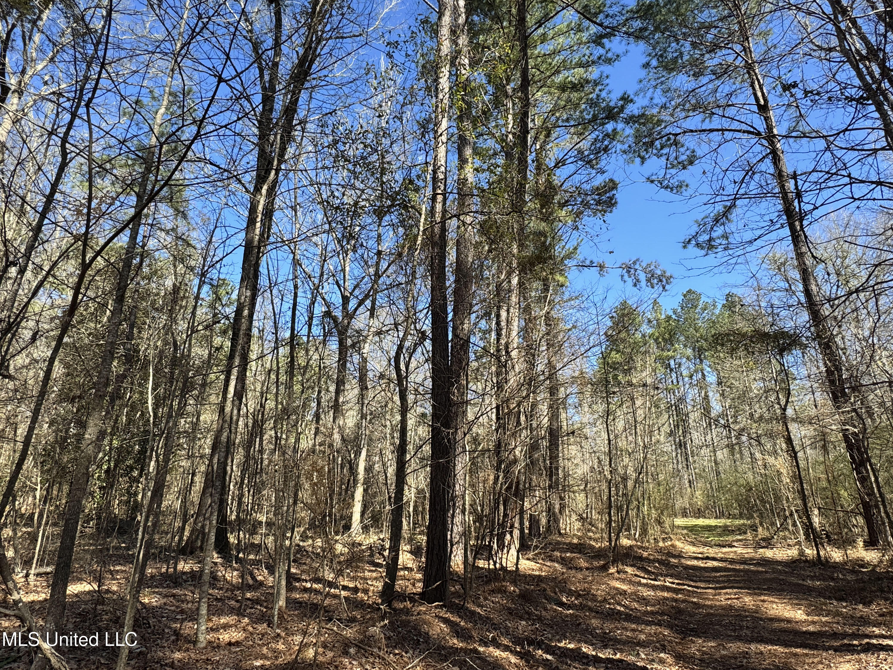 Hickory Ridge Road Hermanville, MS 39086 - Photo 7 of 43 Franklin Post Property-7