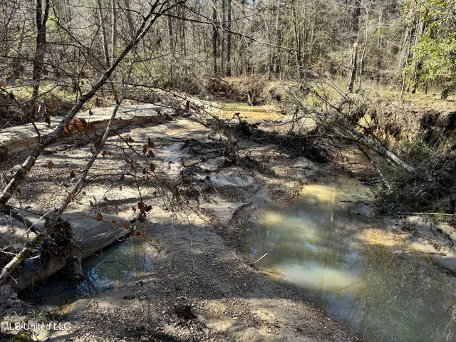 $1,920,000 | Hickory Ridge Road, Hermanville, MS 39086