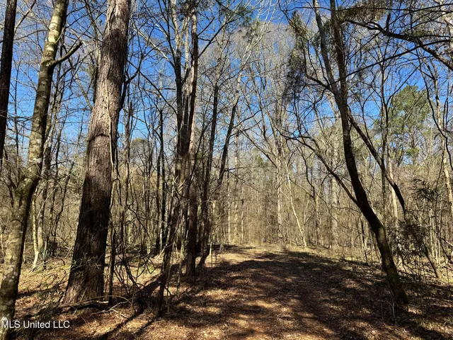 $1,920,000 | Hickory Ridge Road, Hermanville, MS 39086