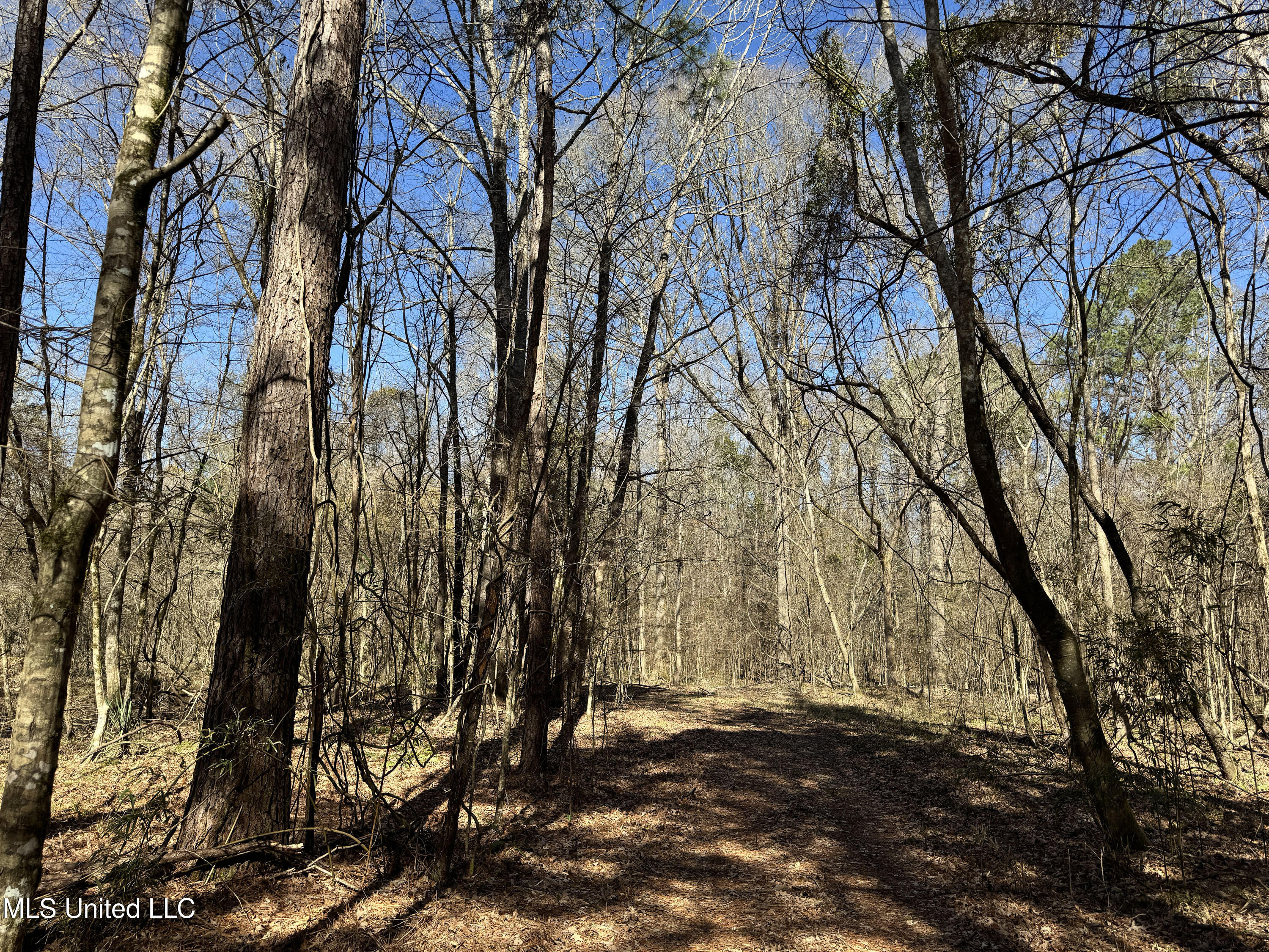 Hickory Ridge Road Hermanville, MS 39086 - Photo 9 of 43 Franklin Post Property-9