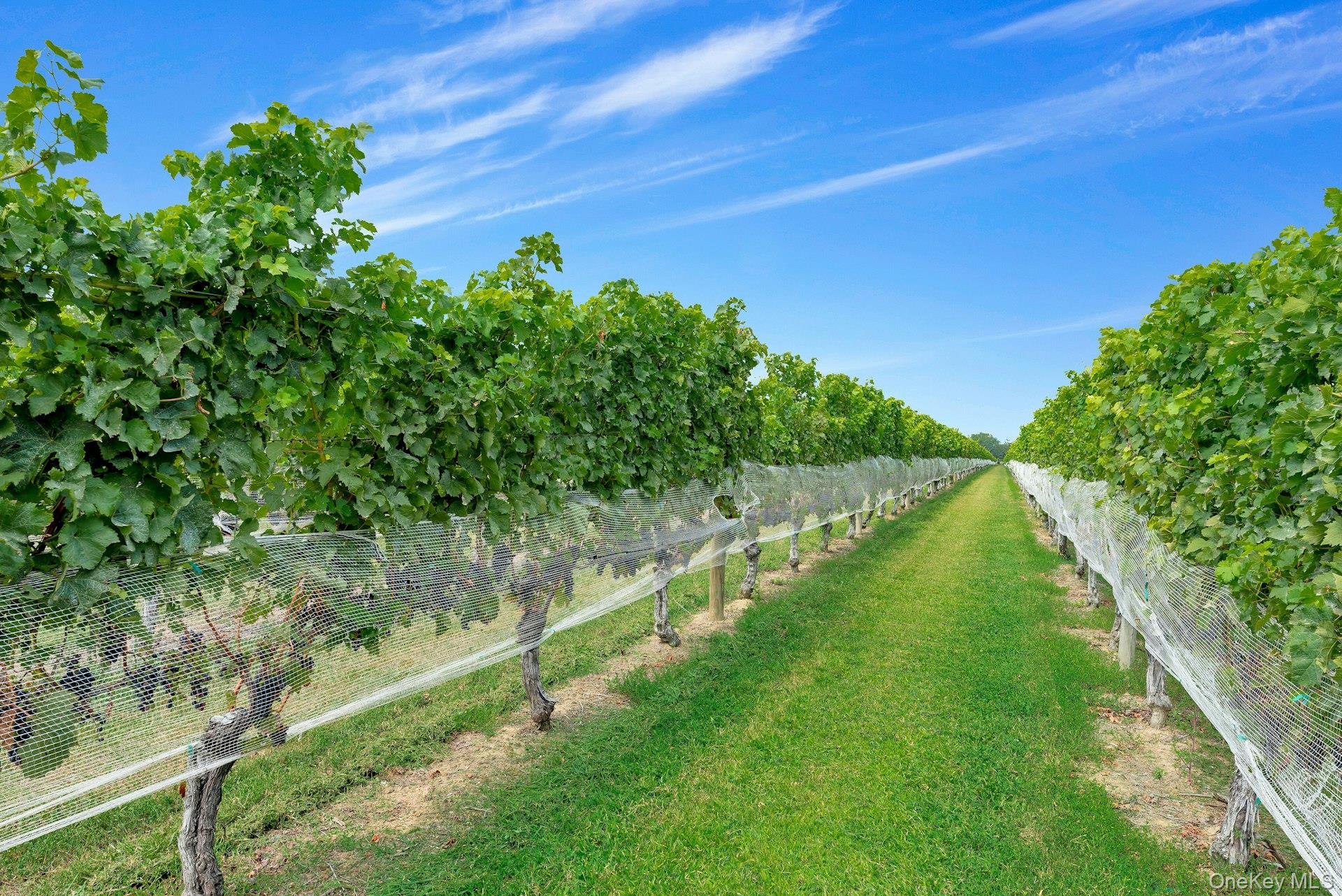 a view of a lake with a yard