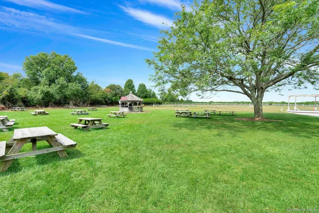 a view of yard with green space