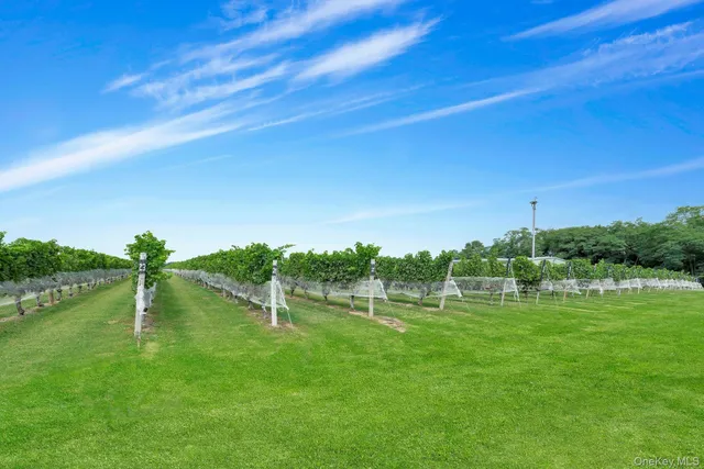 a view of a golf course with a park