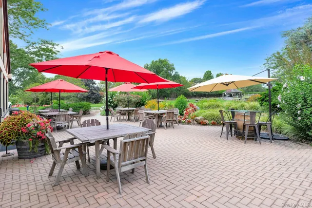 a view of backyard with outdoor seating and plants