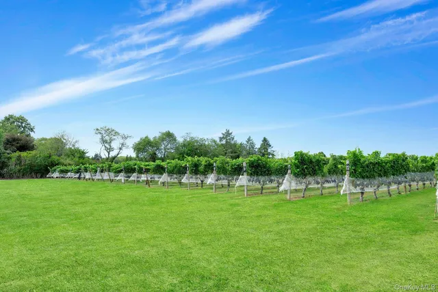 a view of a golf course with a lake