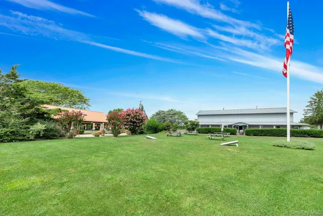 a view of a park with large trees