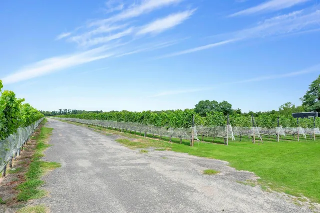 a view of a lake with a big yard