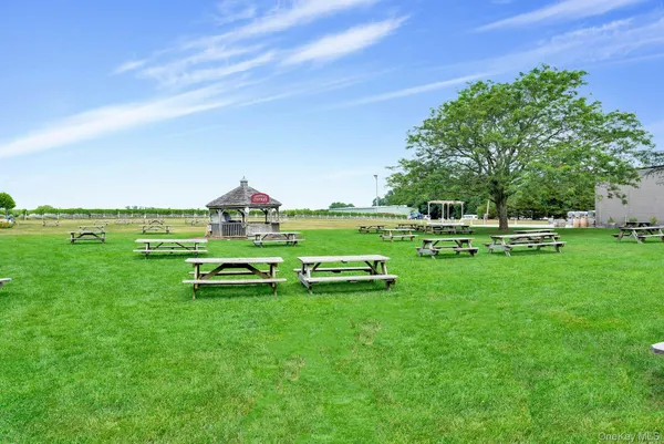 a view of a park with large trees