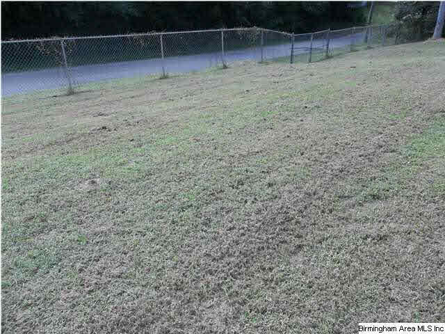 384 Union Camp Road Dora, AL 35062 - Photo 3 of 14