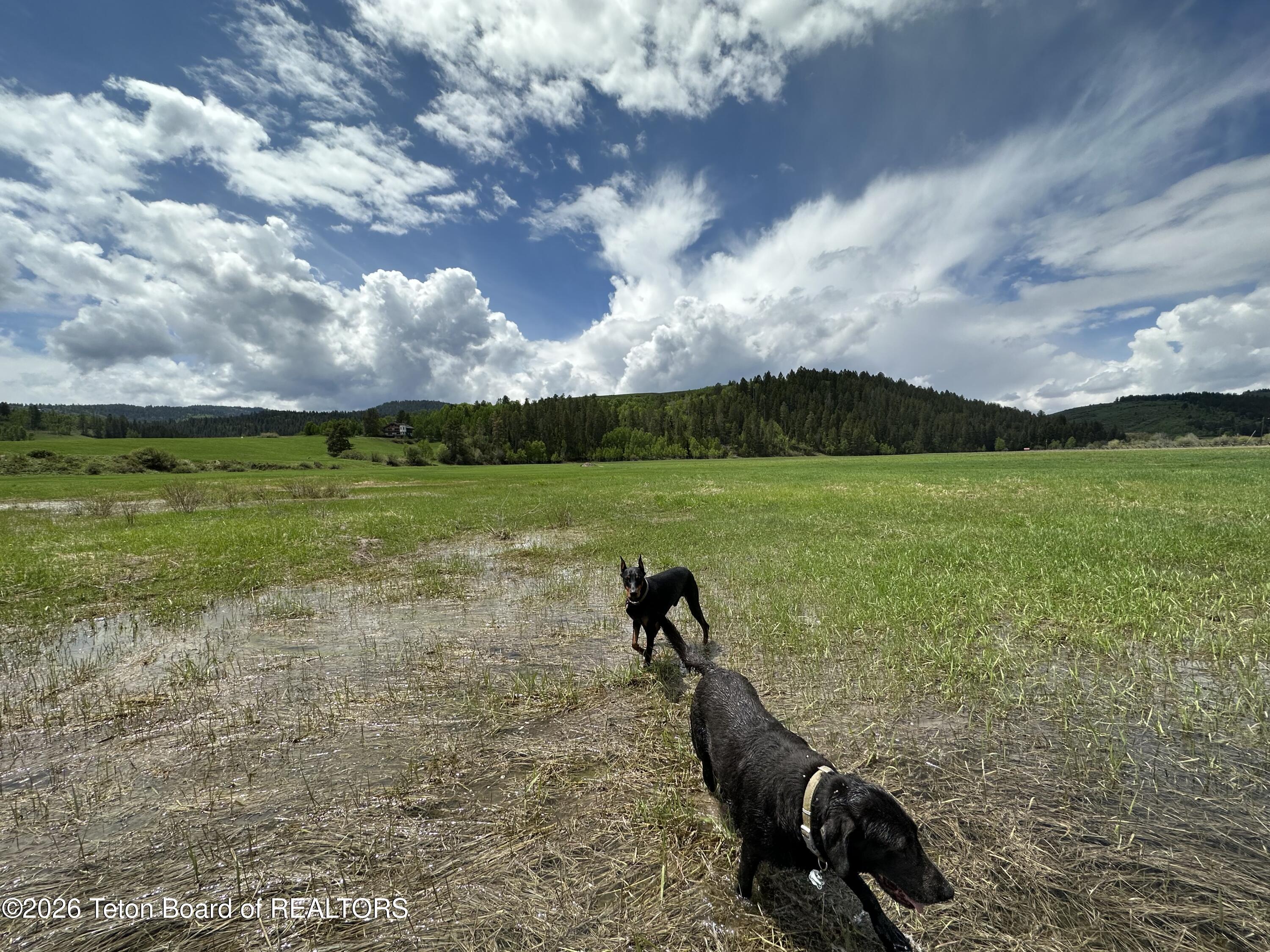 Lot 34 Chipmunk Lane Wayan, ID 83285 - Photo 11 of 17 IMG_2278