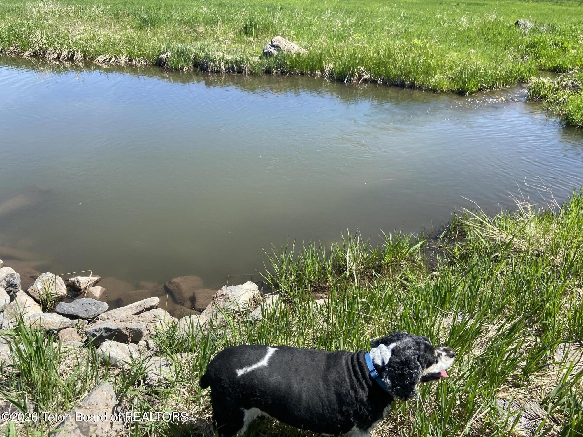 Lot 34 Chipmunk Lane Wayan, ID 83285 - Photo 3 of 17 Grouse Creek
