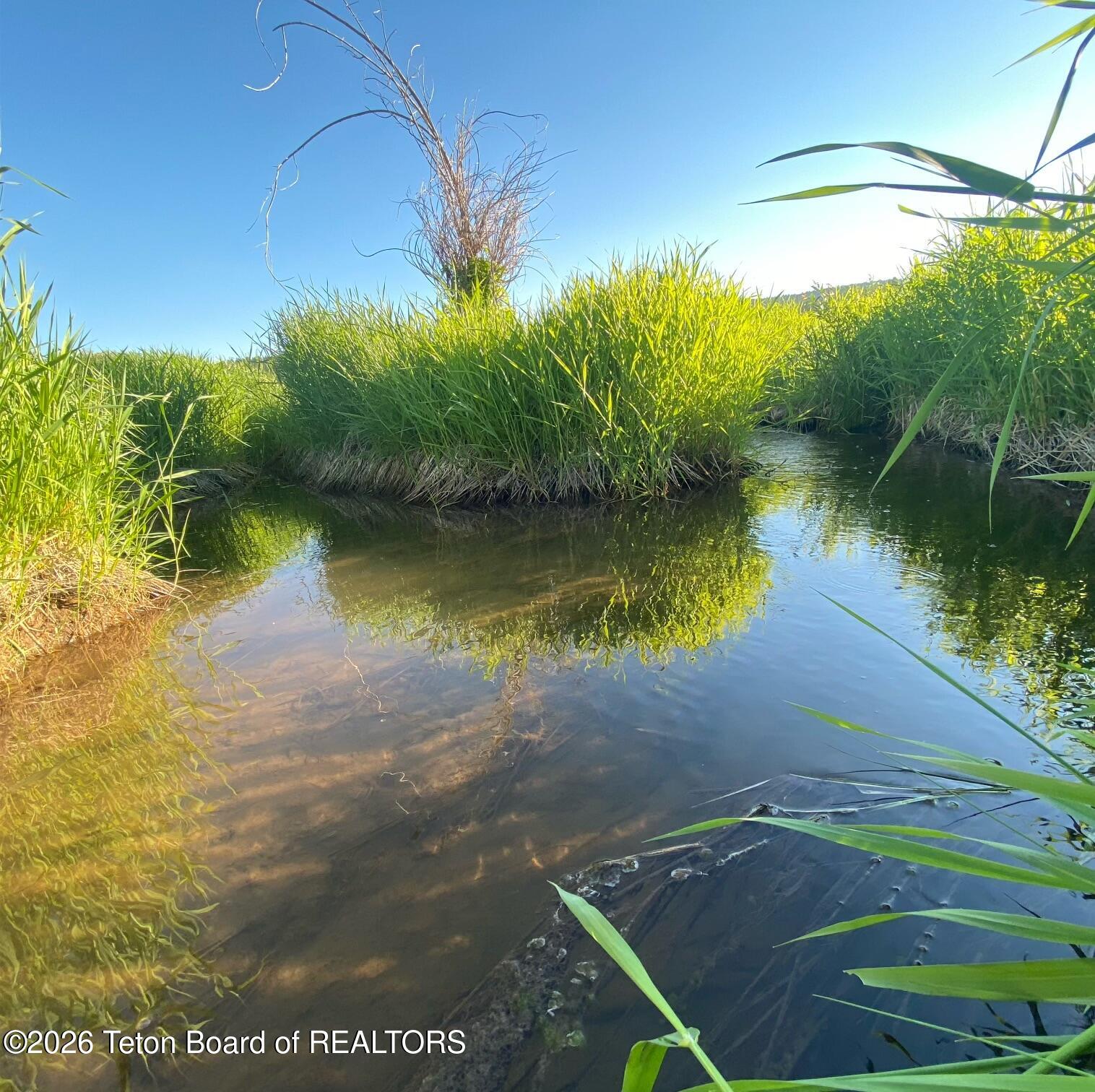 Lot 34 Chipmunk Lane Wayan, ID 83285 - Photo 7 of 17 B43E2516-B3A7-4816-933B-E203A13291E1