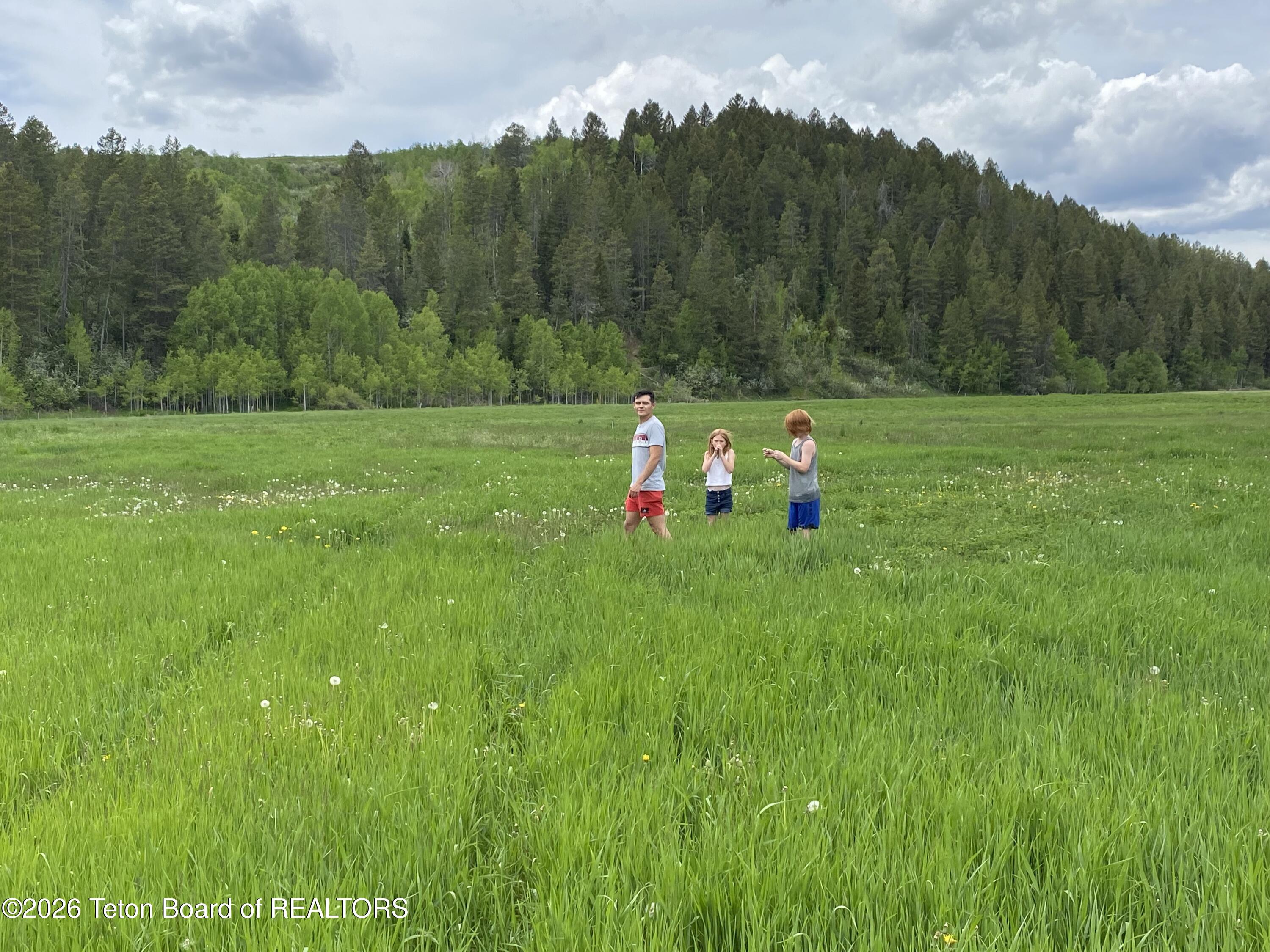 Lot 34 Chipmunk Lane Wayan, ID 83285 - Photo 10 of 17 IMG_2260