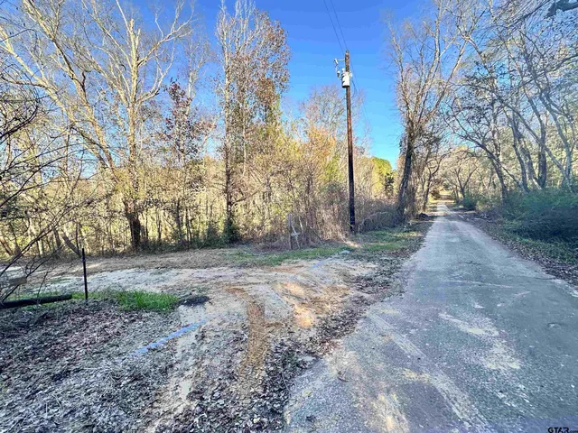 a view of a yard with trees