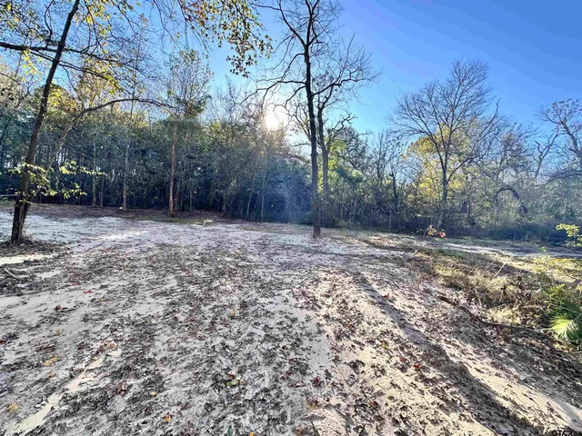a view of a yard with trees