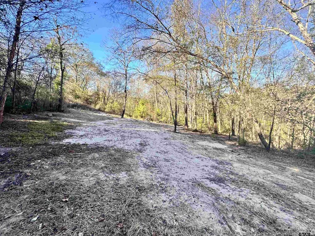a view of dirt yard with a trees