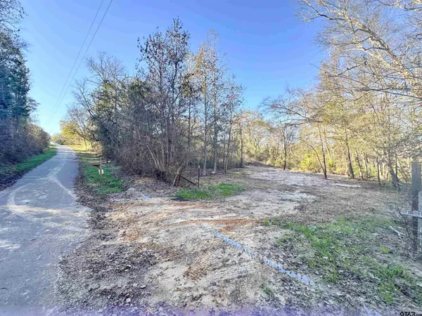 a view of backyard with green space