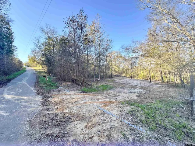 a view of backyard with green space