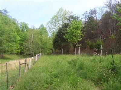 285 Sweet Water Road Berea, KY 40403 - Photo 15 of 27 Path way to the cabin on the hill. Cabi