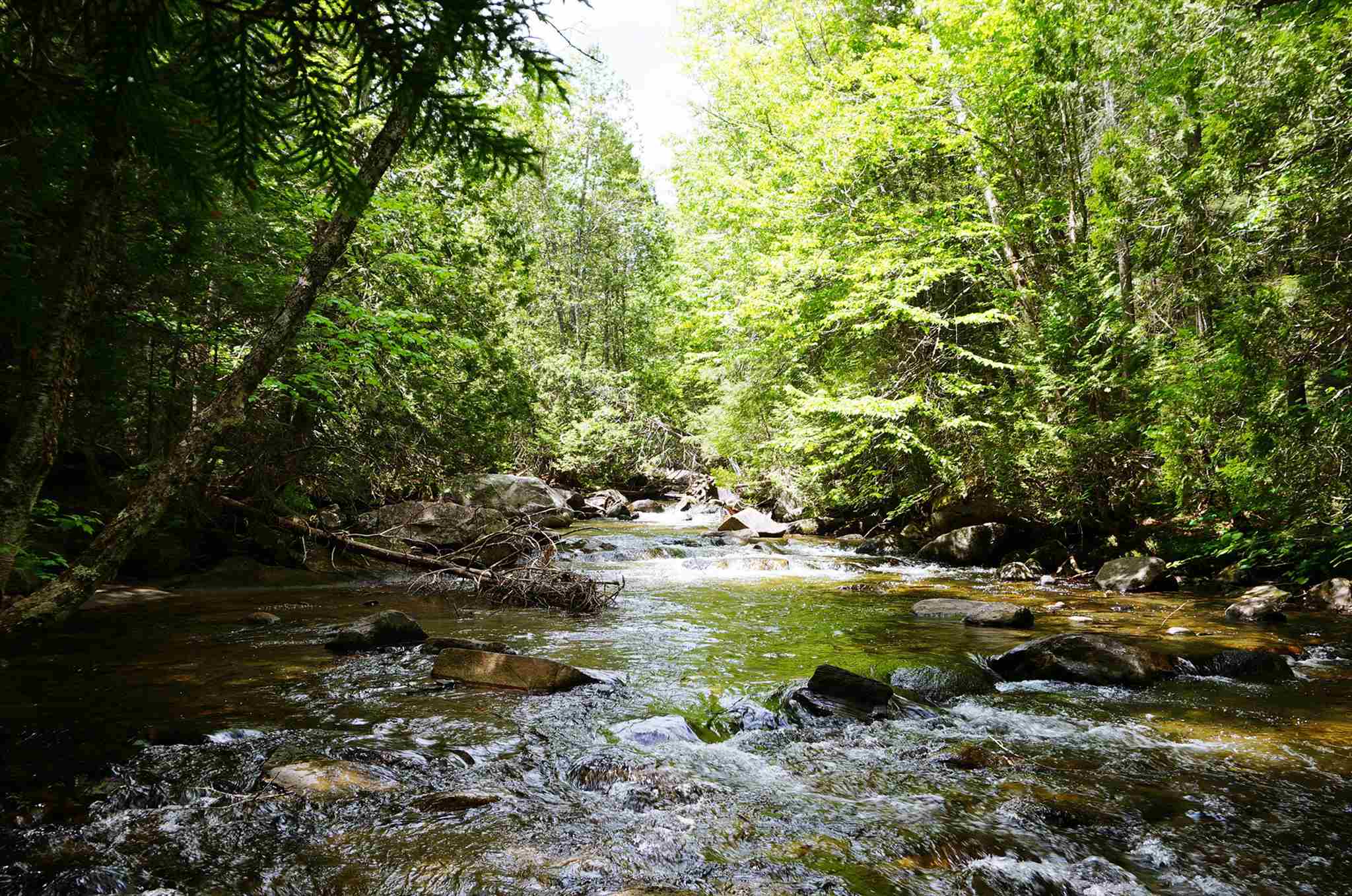 0 Bean Brook Road West Burke, VT 05871 - Photo 1 of 6 Gallery Image 1