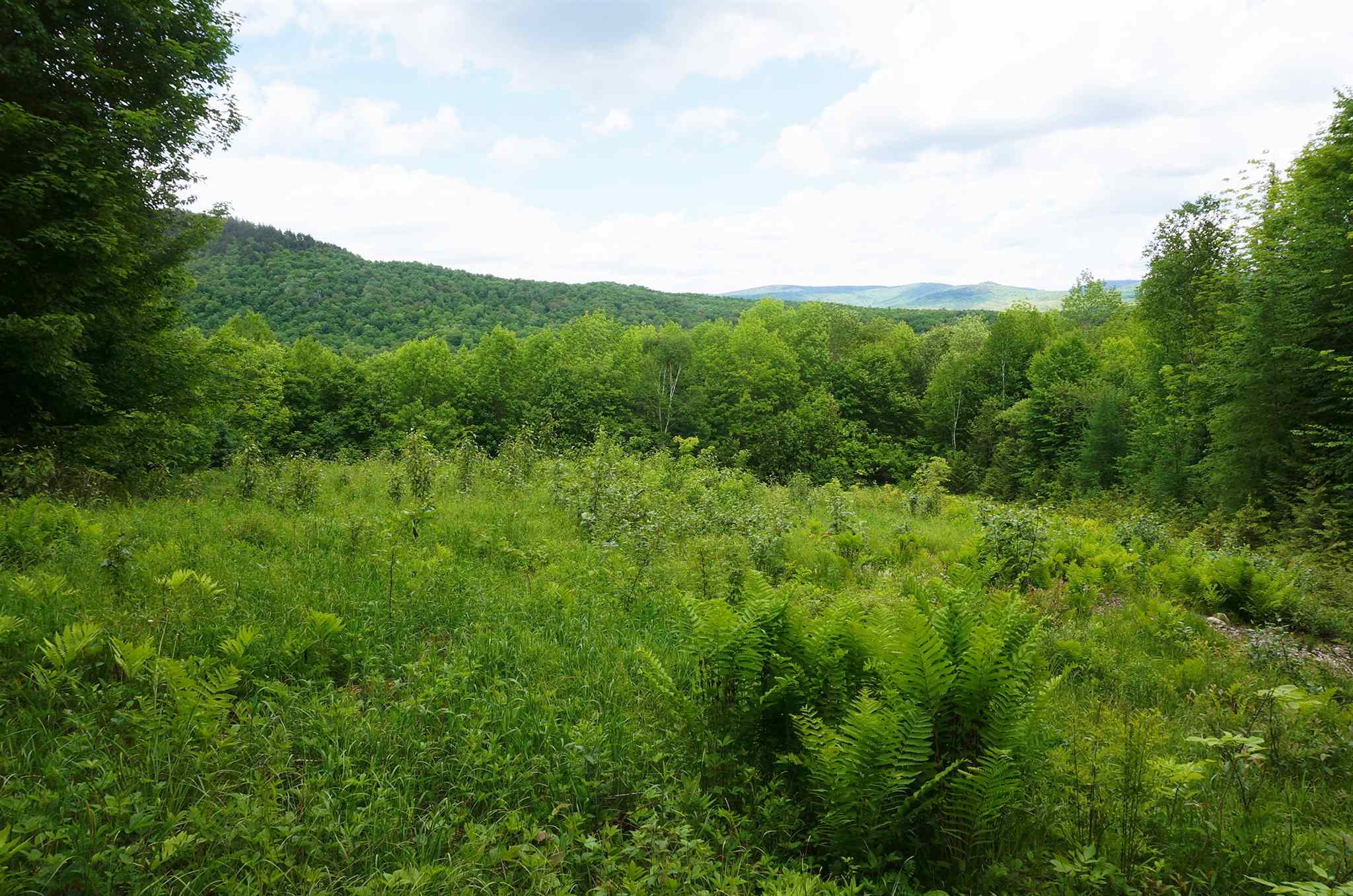 0 Bean Brook Road West Burke, VT 05871 - Photo 2 of 6 Gallery Image 2