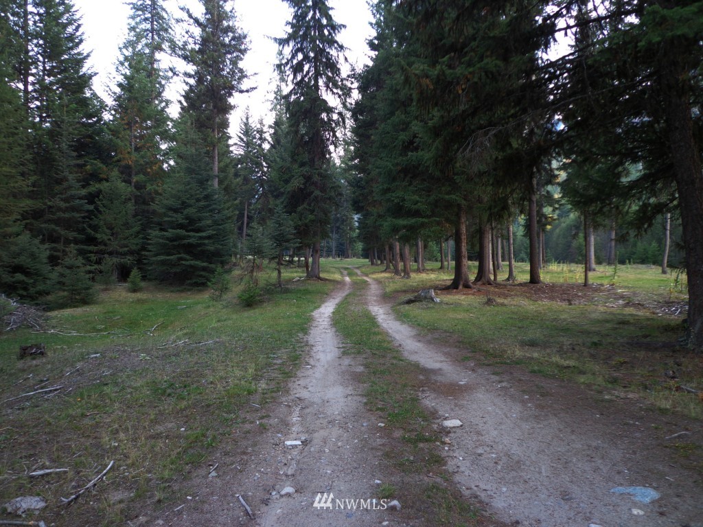 -tbd Lambert Creek Road Republic, WA 99166 - Photo 2 of 17 Gallery Image 2