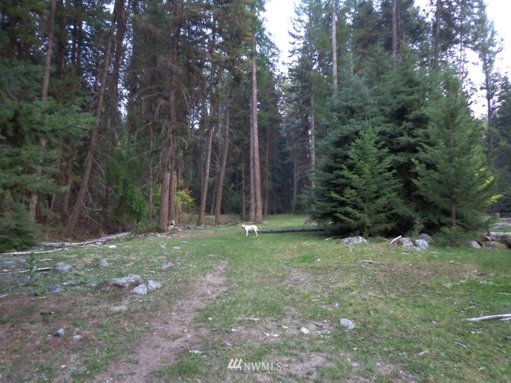 -tbd Lambert Creek Road Republic, WA 99166 - Photo 12 of 17 Gallery Image 12