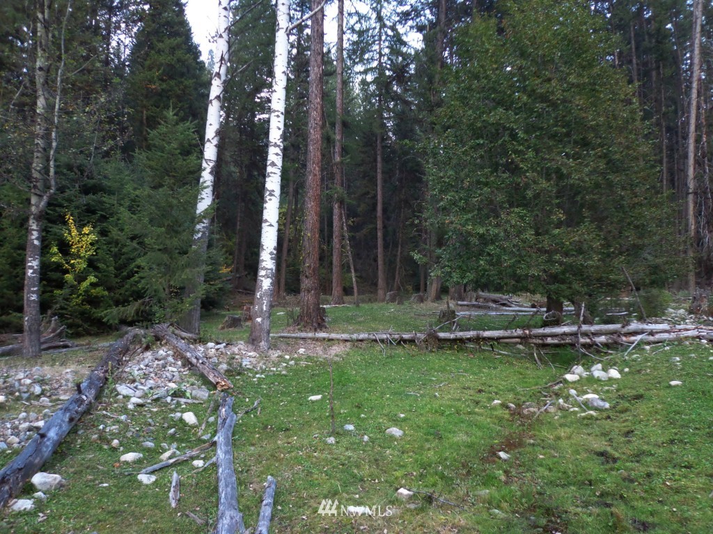 -tbd Lambert Creek Road Republic, WA 99166 - Photo 13 of 17 Gallery Image 13