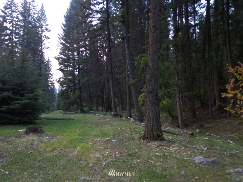 -tbd Lambert Creek Road Republic, WA 99166 - Photo 16 of 17 Gallery Image 16