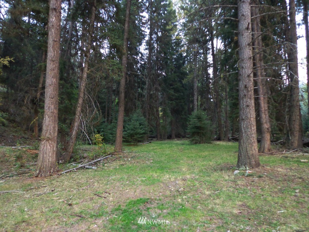 -tbd Lambert Creek Road Republic, WA 99166 - Photo 17 of 17 Gallery Image 17