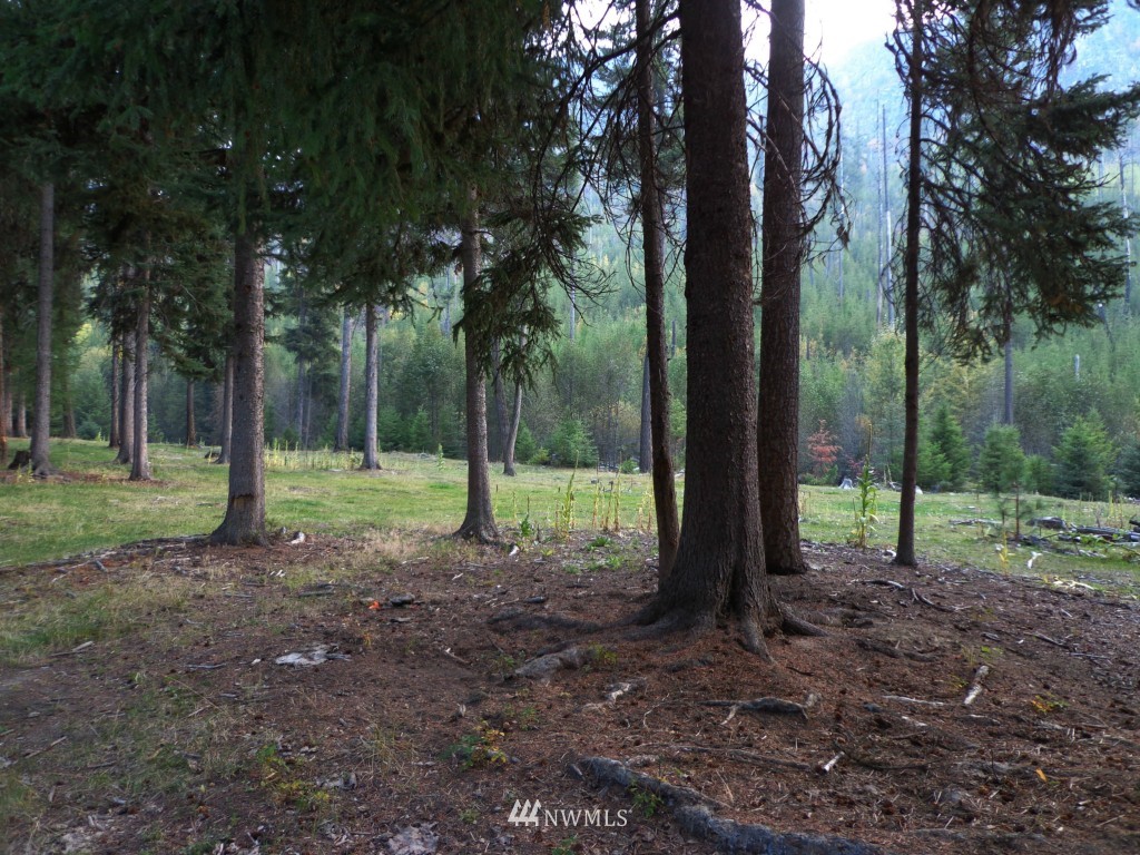 -tbd Lambert Creek Road Republic, WA 99166 - Photo 3 of 17 Gallery Image 3