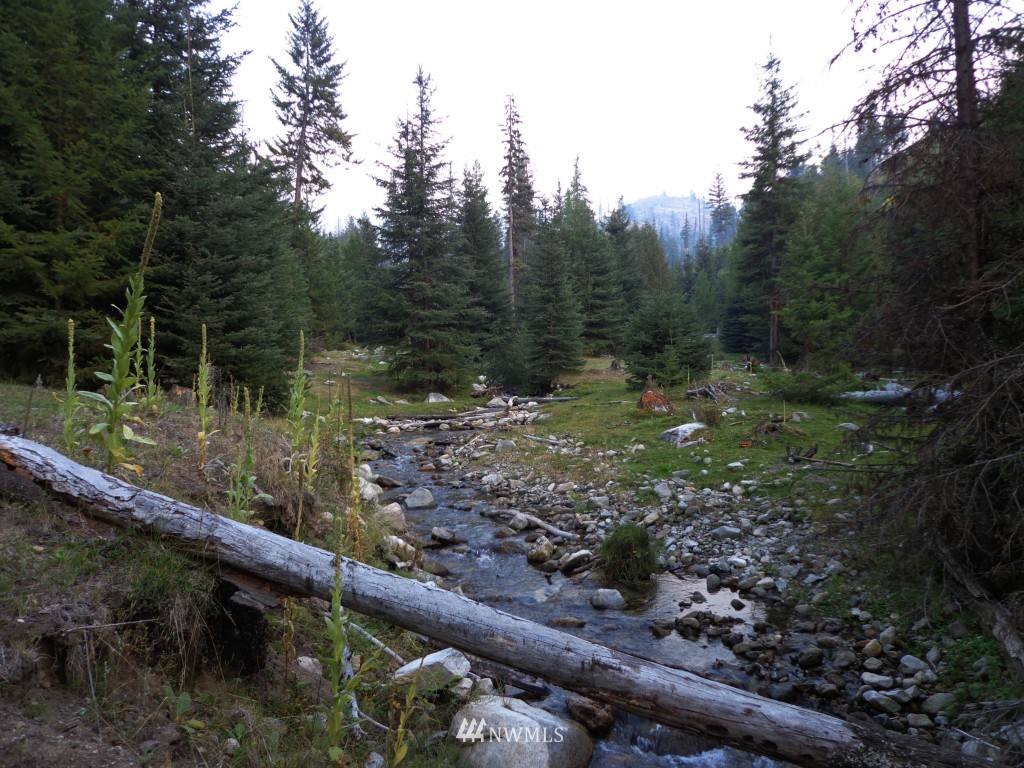 -tbd Lambert Creek Road Republic, WA 99166 - Photo 4 of 17 Gallery Image 4