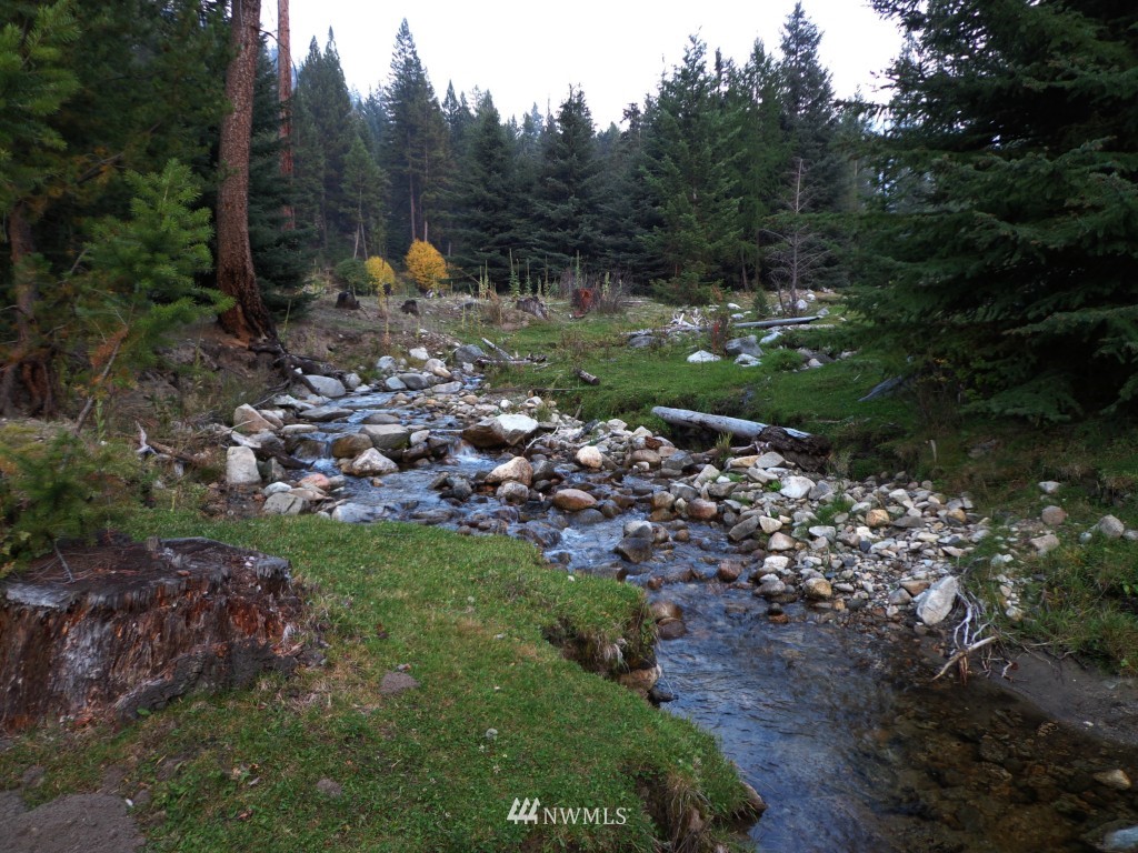 -tbd Lambert Creek Road Republic, WA 99166 - Photo 5 of 17 Gallery Image 5