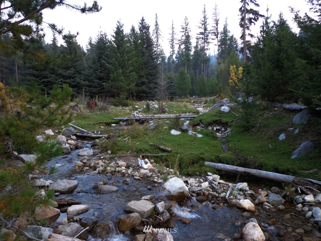 -tbd Lambert Creek Road Republic, WA 99166 - Photo 6 of 17 Gallery Image 6