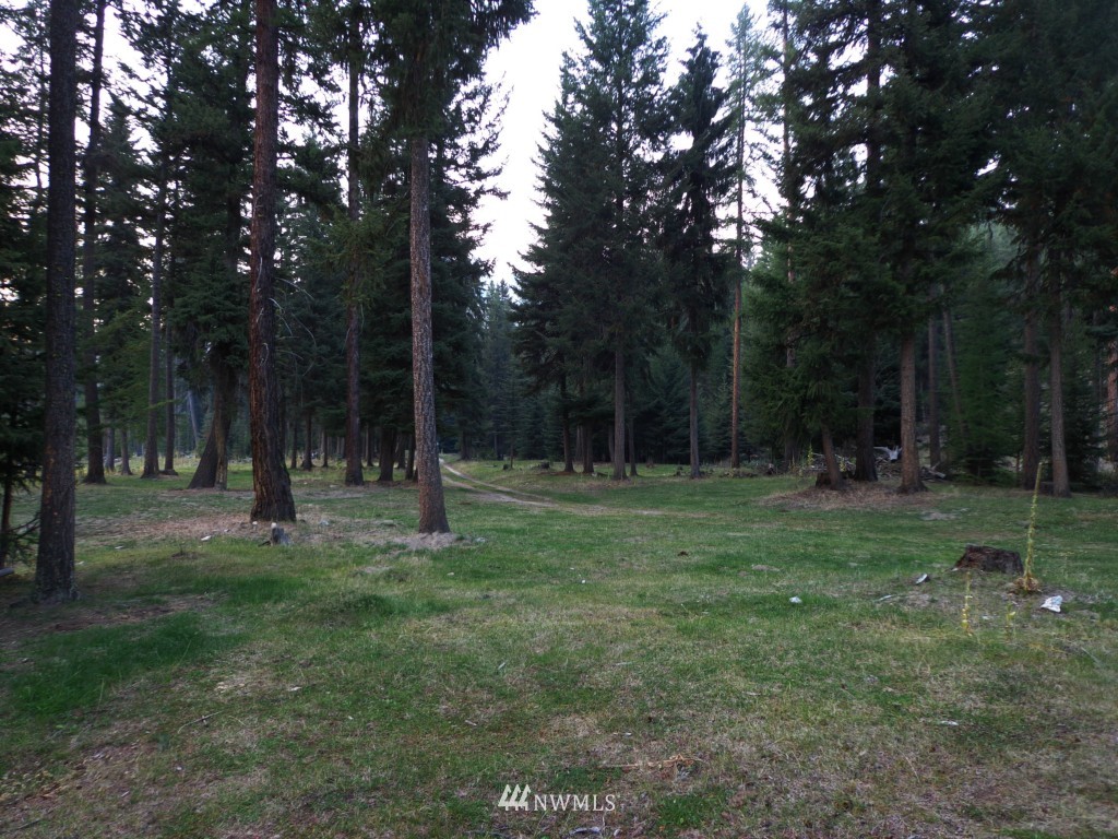 -tbd Lambert Creek Road Republic, WA 99166 - Photo 7 of 17 Gallery Image 7