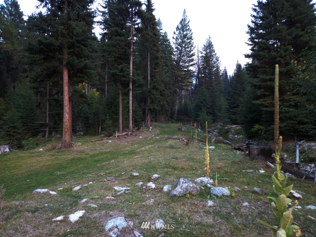 -tbd Lambert Creek Road Republic, WA 99166 - Photo 10 of 17 Gallery Image 10
