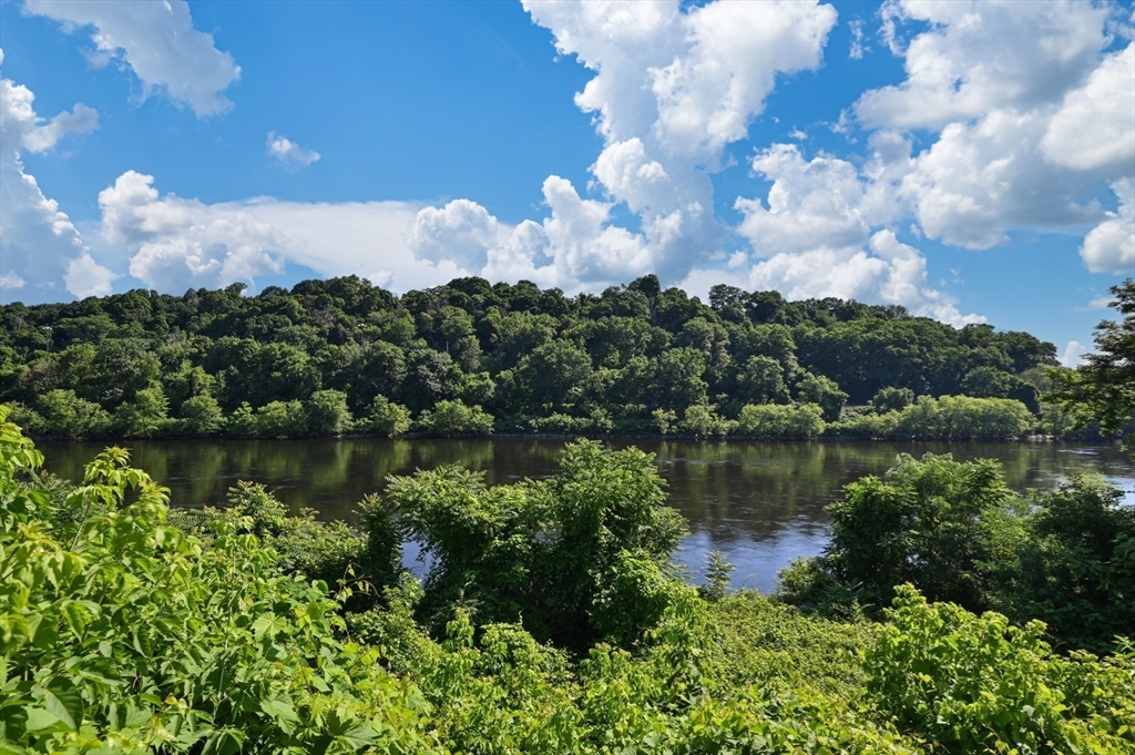 222 Stackpole Street, Unit 4 Lowell, MA 01852 - Photo 3 of 15 a view of a lake with a yard