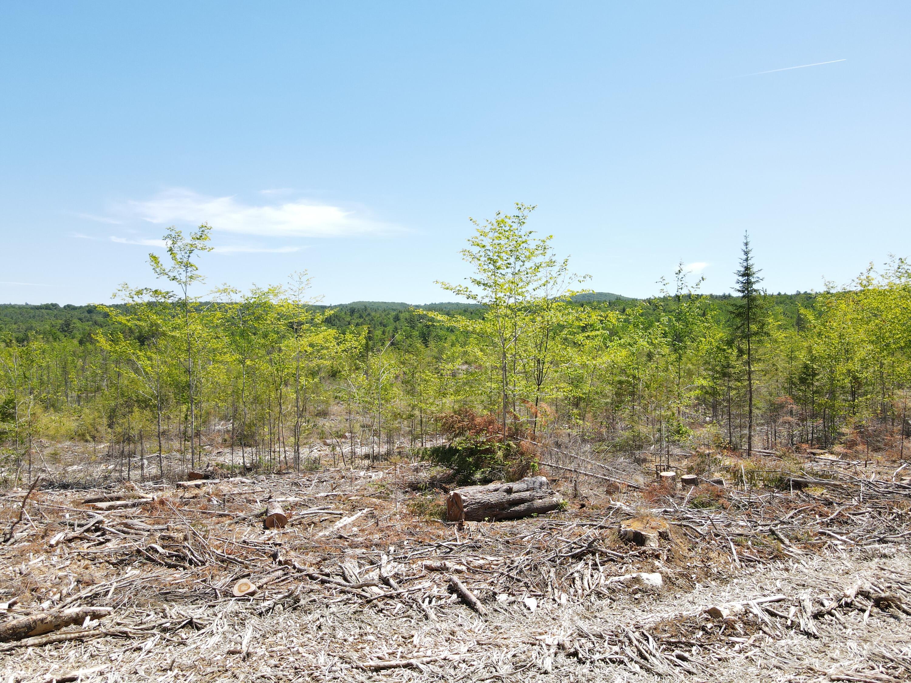 M10-l25 M10-l25 Cahoon Road Chesterville, ME 04938 - Photo 17 of 80 DJI_0758