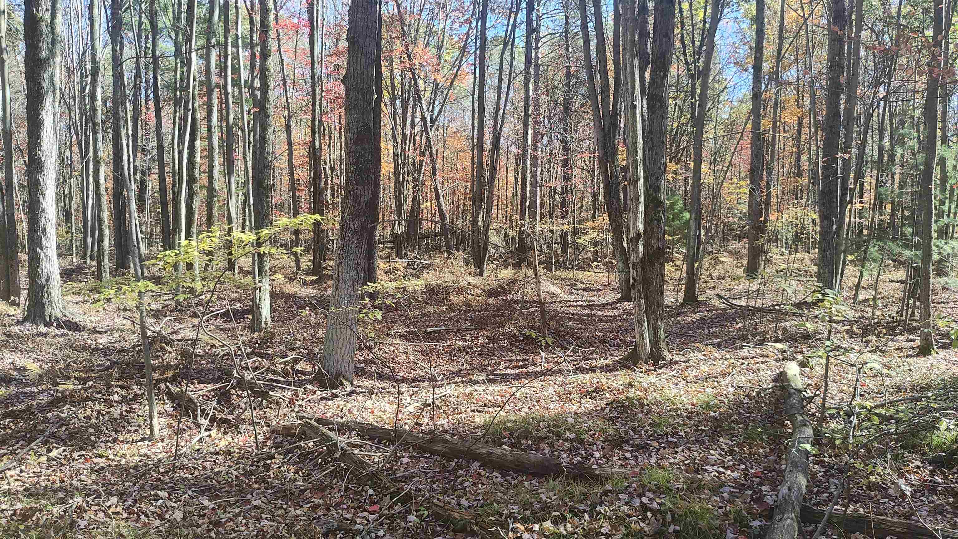 0 Timber Trail Prescott, MI 48756 - Photo 39 of 44